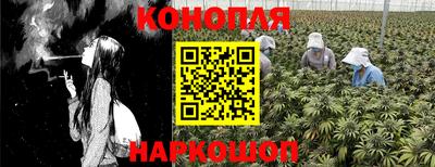ПСИЛОЦИБИНОВЫЕ ГРИБЫ Славгород