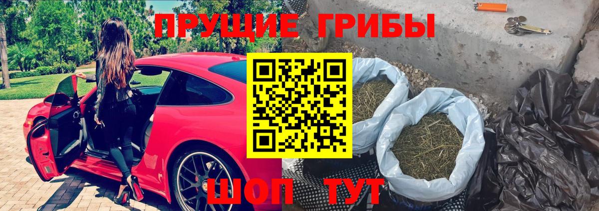 купить наркотики сайты  Вход с VPN  Орехово-Зуево  Псилоцибиновые грибы MAGIC MUSHROOMS  Галлюциногенные грибы Psilocybe 